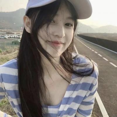 海龟们